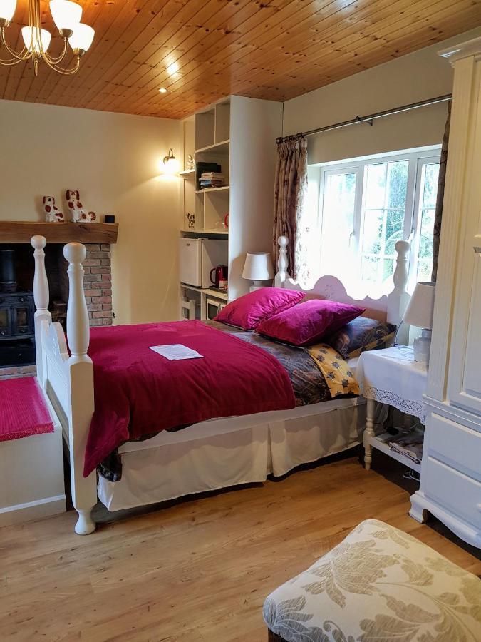 Brookvale Bed & Breakfast Wellingtonbridge Екстериор снимка