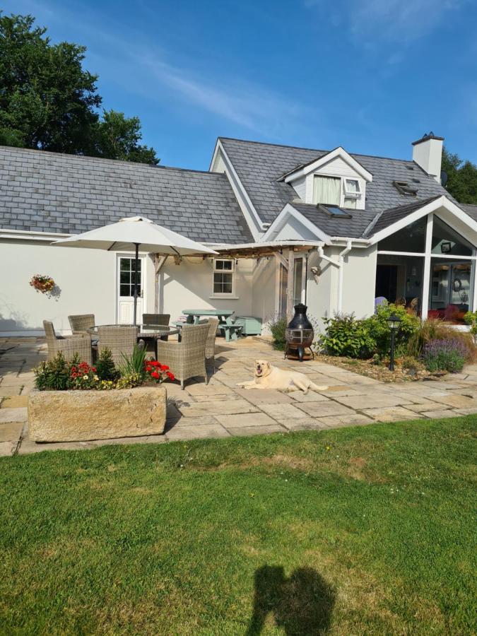 Brookvale Bed & Breakfast Wellingtonbridge Екстериор снимка
