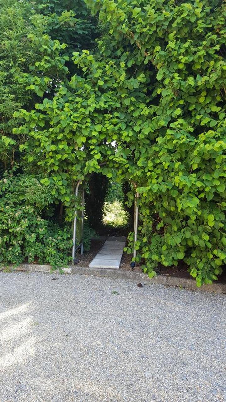 Brookvale Bed & Breakfast Wellingtonbridge Екстериор снимка
